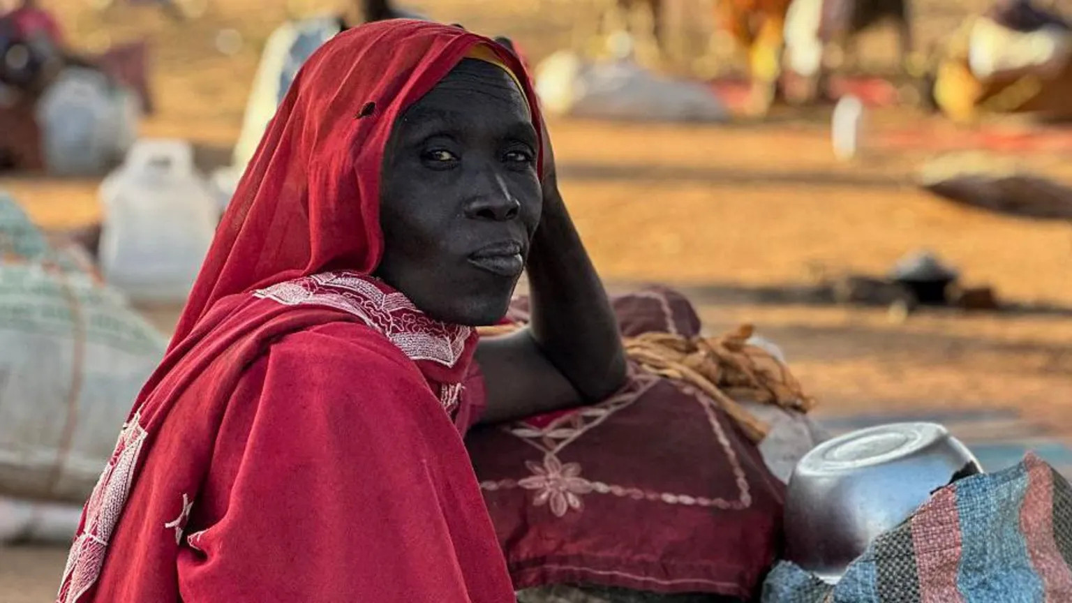 Sudan’s el-Fasher killings spark genocide warnings as RSF admits violations