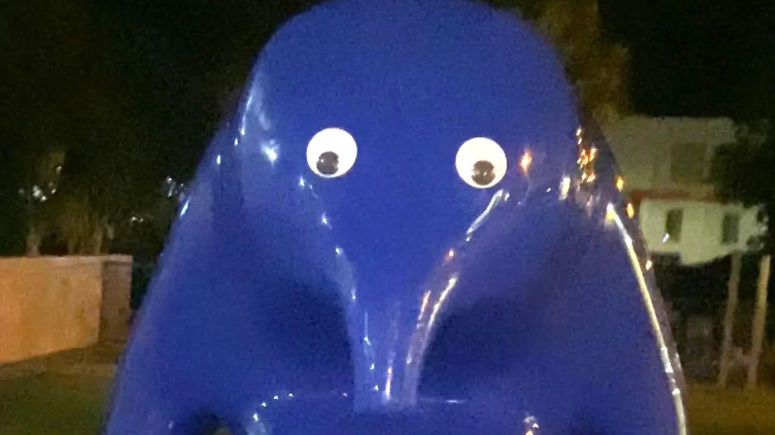 Australian teen charged over googly-eyed sculpture vandalism