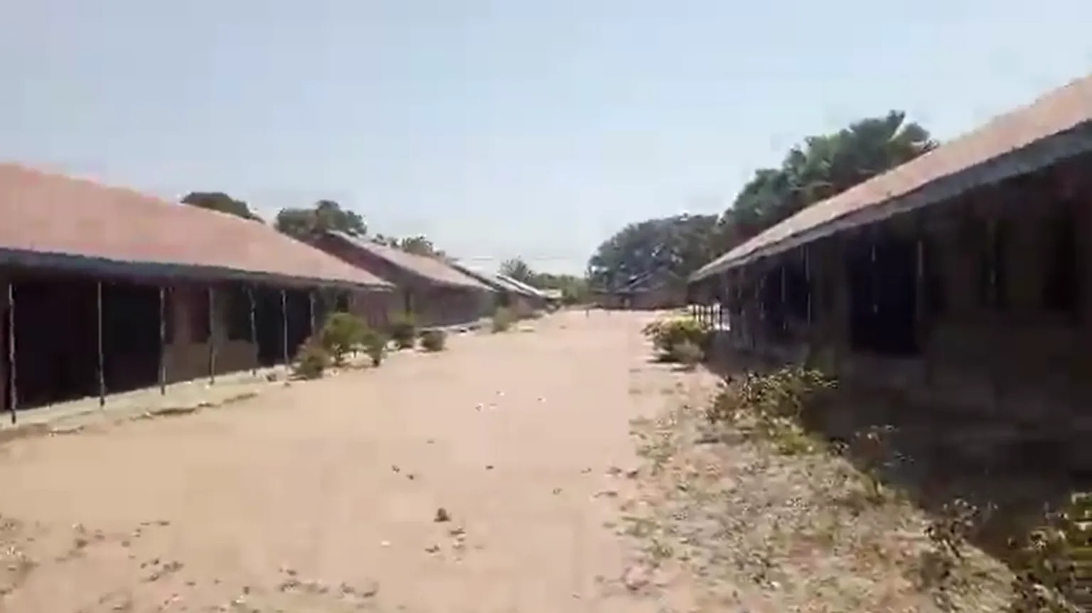 Nigeria Mass Abduction: 315 Kidnapped in Deadliest School Raid Since Chibok