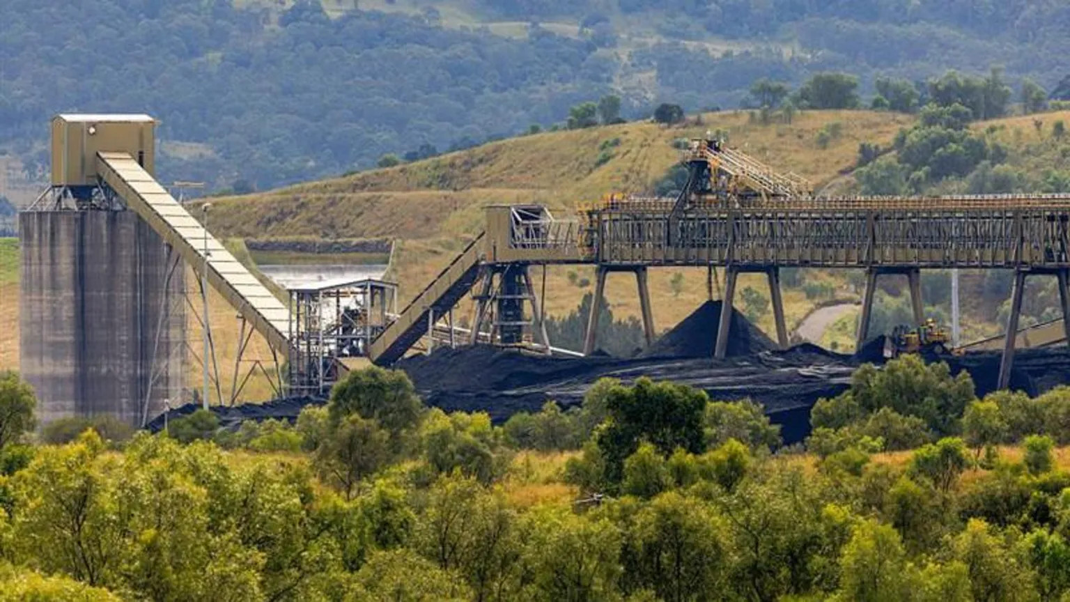 Australia overhauls nature laws with new regulator and stricter protections