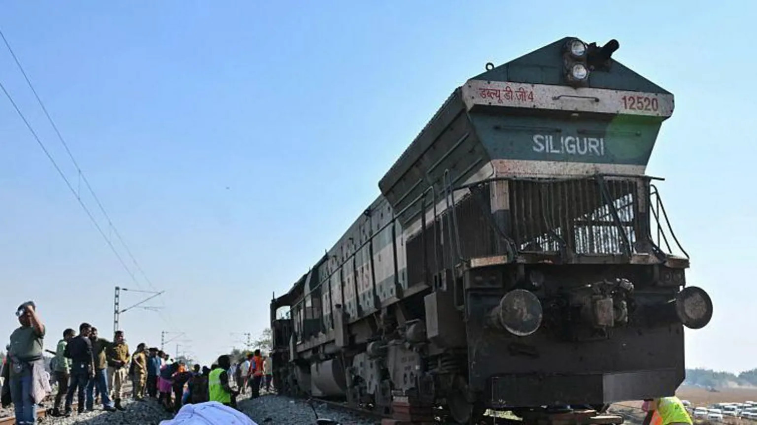 Seven elephants killed in train collision in India's Assam state