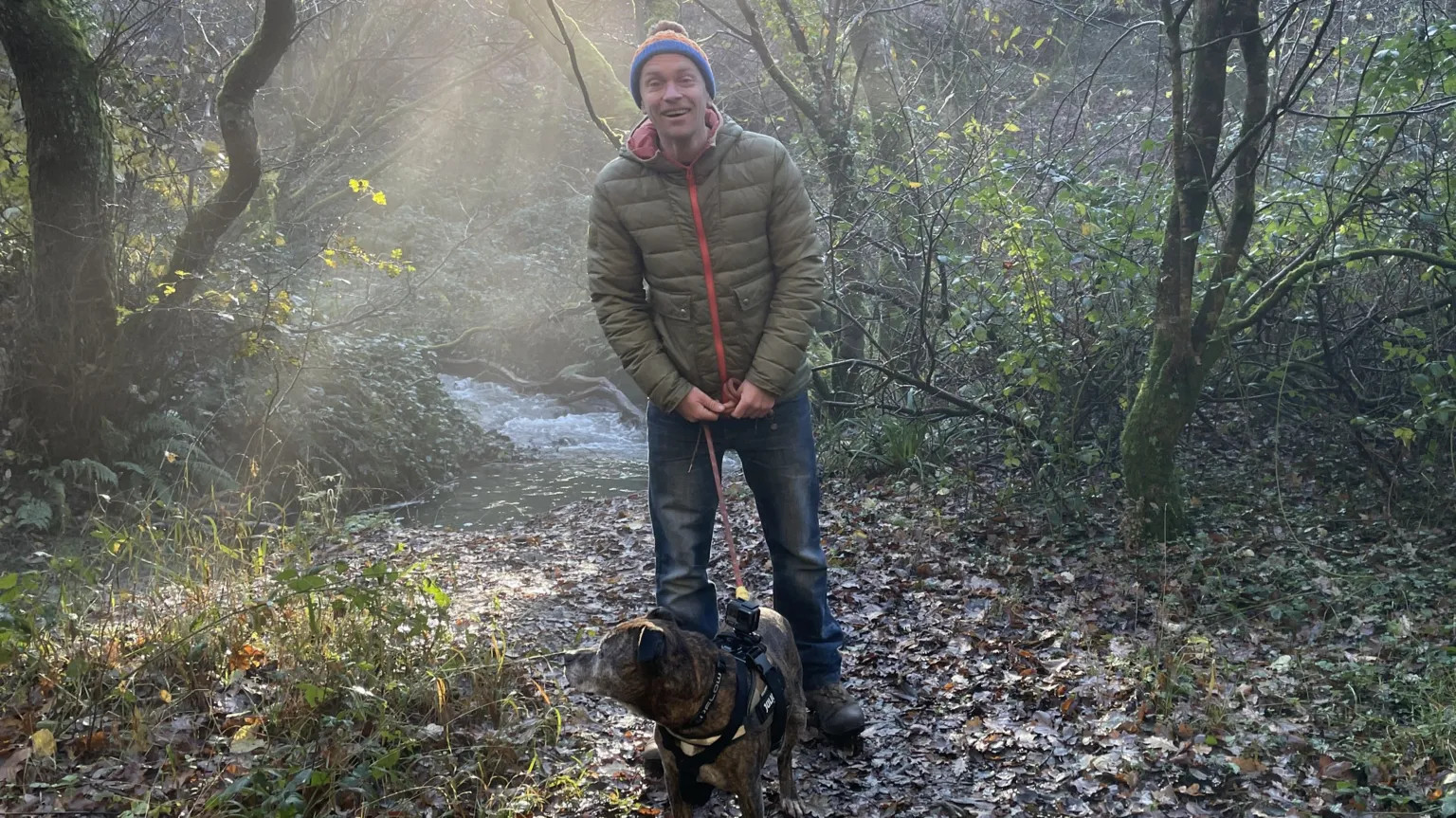 Redundancy sparks Devon man to launch dog-walking app