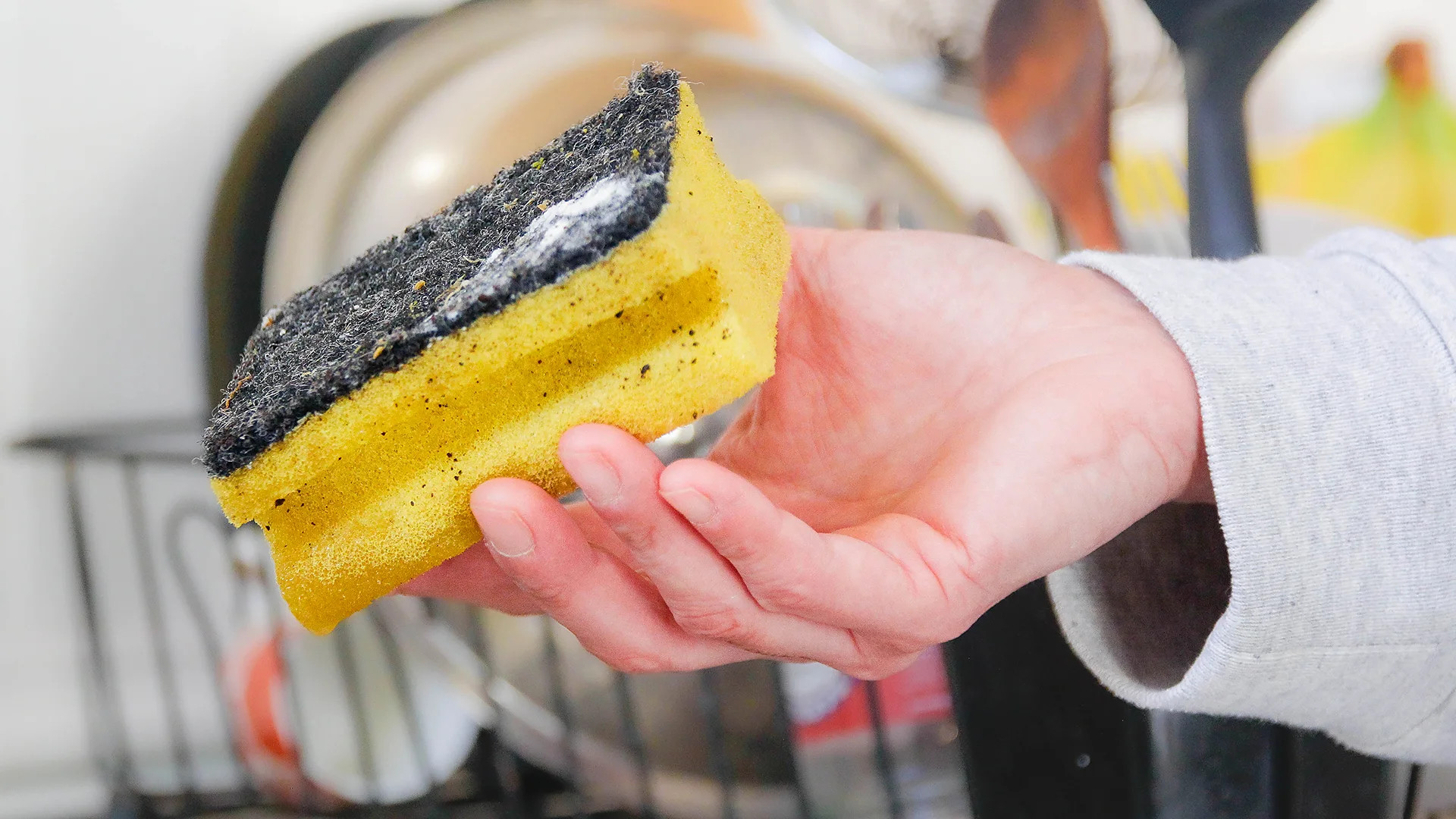 Kitchen sponges harbor billions of bacteria—are brushes a safer alternative?