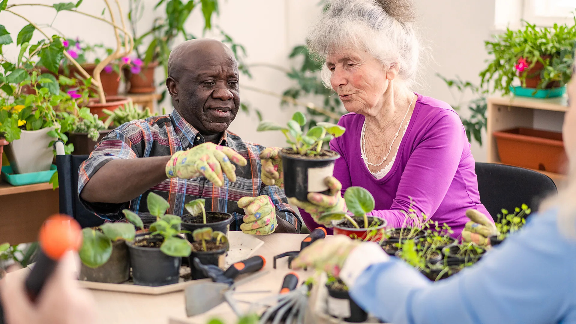 Gardening boosts cognitive health and aids dementia patients, studies show