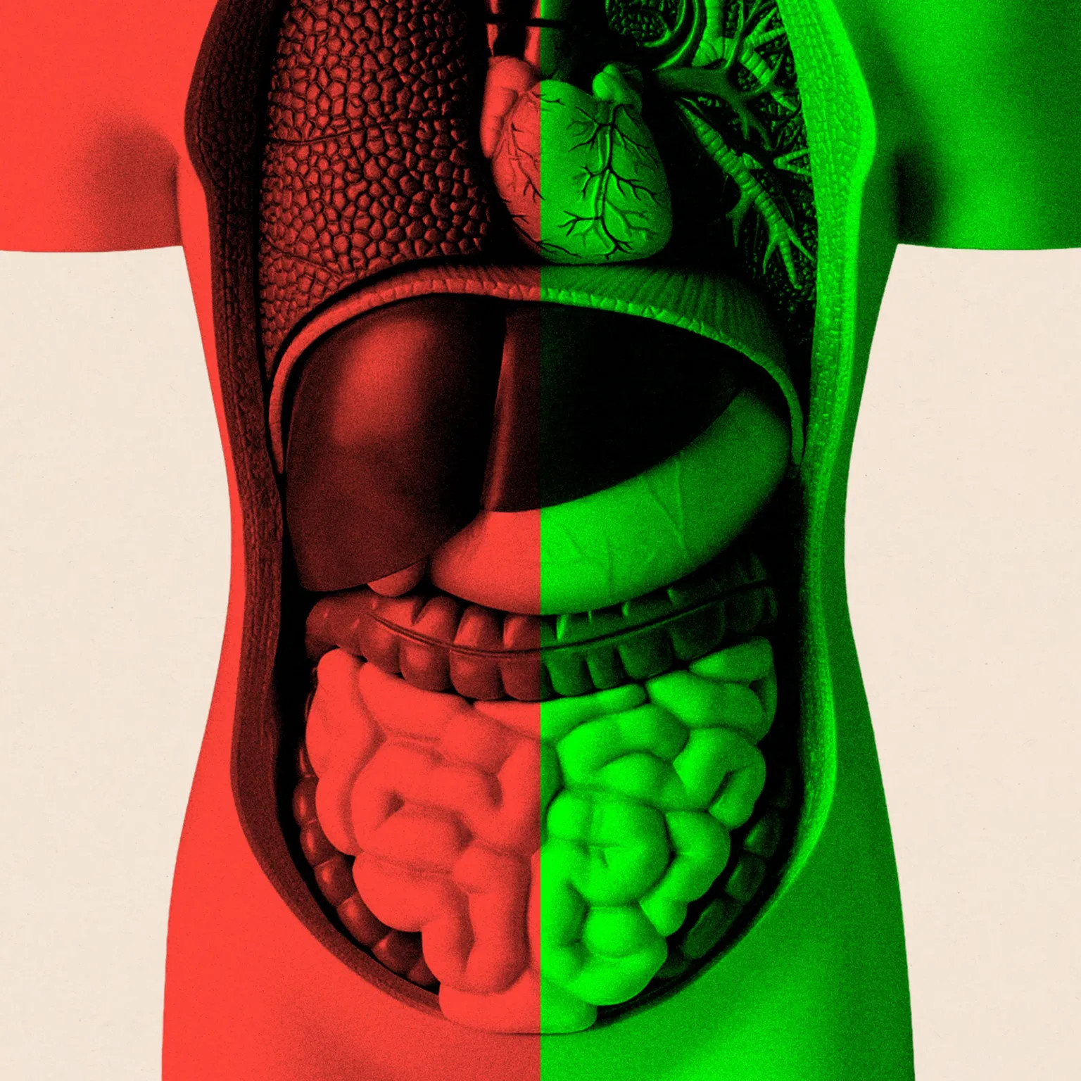 Gut health linked to ageing as scientists explore microbiome's role