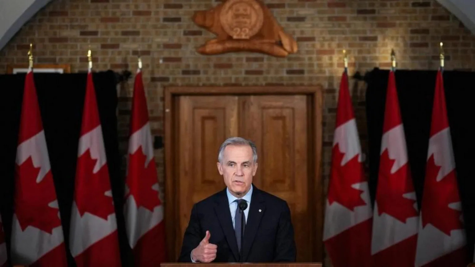 Carney urges unity, defends Canadian values amid global tensions