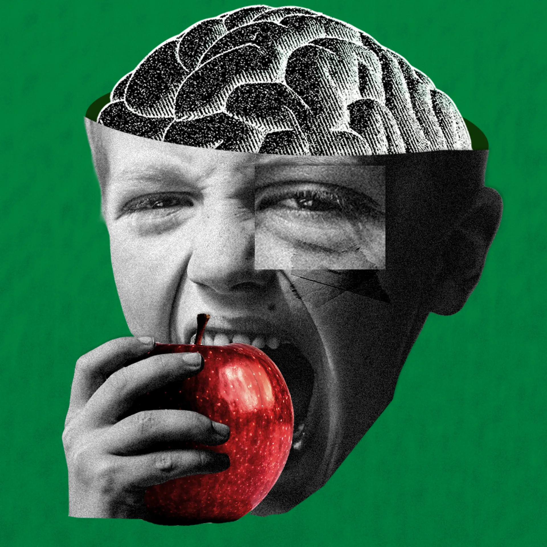 Fibre intake linked to longer life and sharper brain health