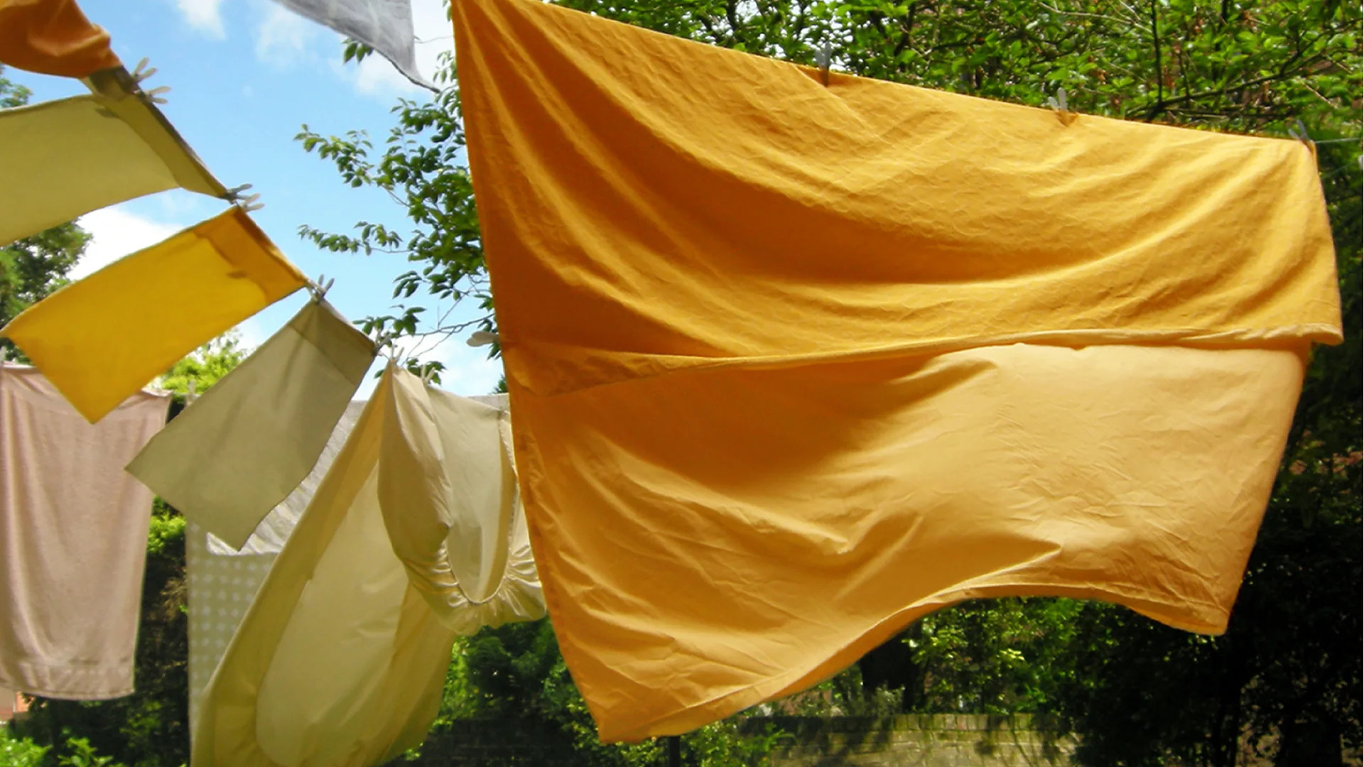 Your Bed Could Be a Breeding Ground for Bacteria, Fungi, and Mites