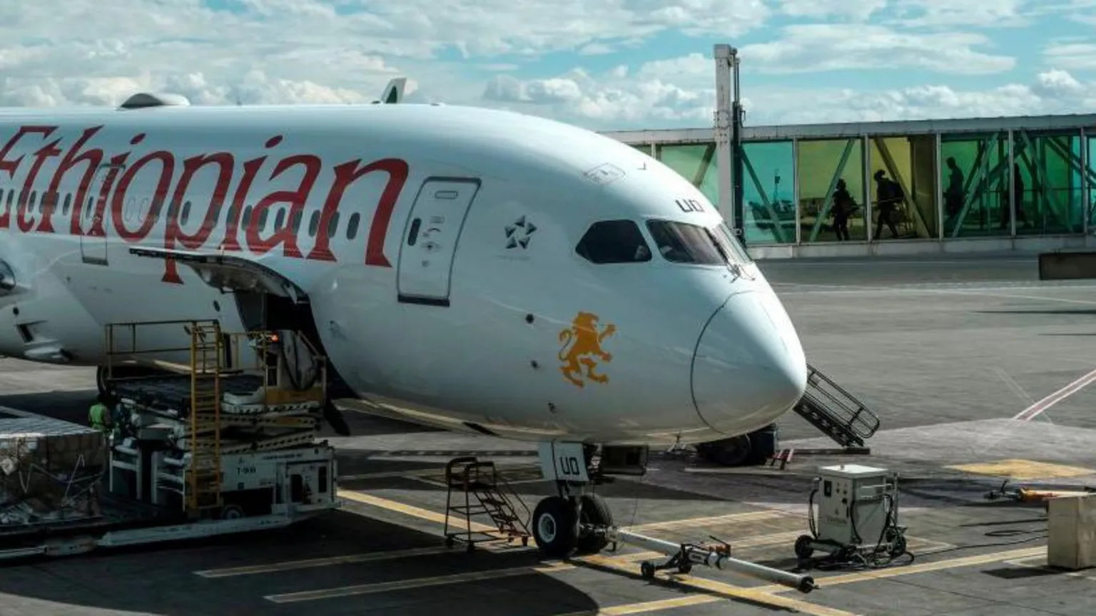 Ethiopia cancels flights to Tigray as conflict fears escalate