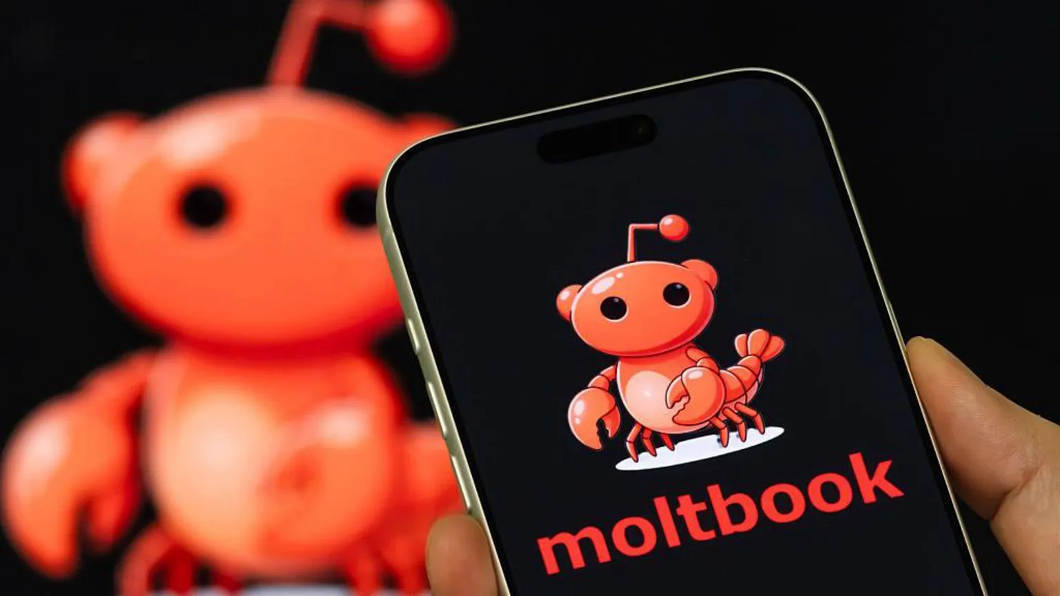 Moltbook: The AI-only social network where bots debate and humans watch