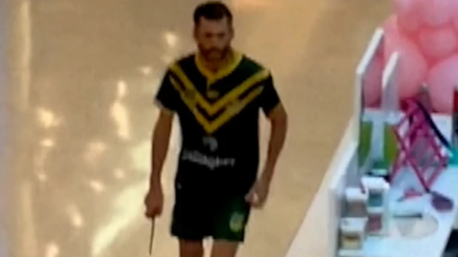 Psychiatrist facing health probe after Sydney mall attacker's care scrutinised