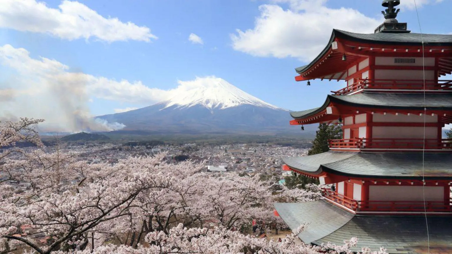 Mount Fuji town cancels cherry blossom festival due to overtourism chaos