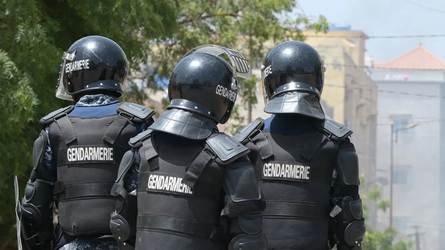 Senegalese police dismantle transnational paedophile ring with French links