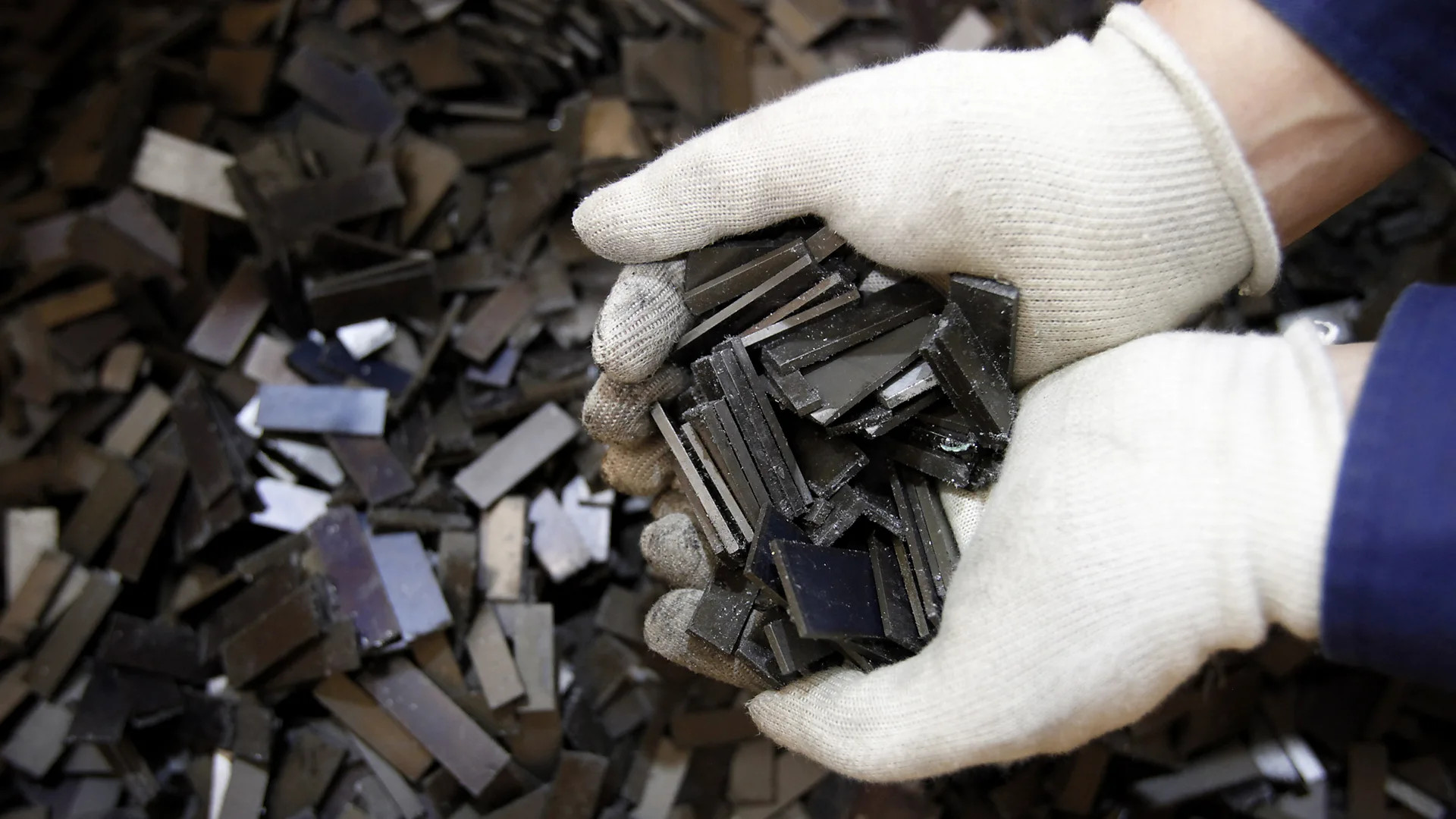 Scientists explore fungi and waste to unlock rare earth elements without mining