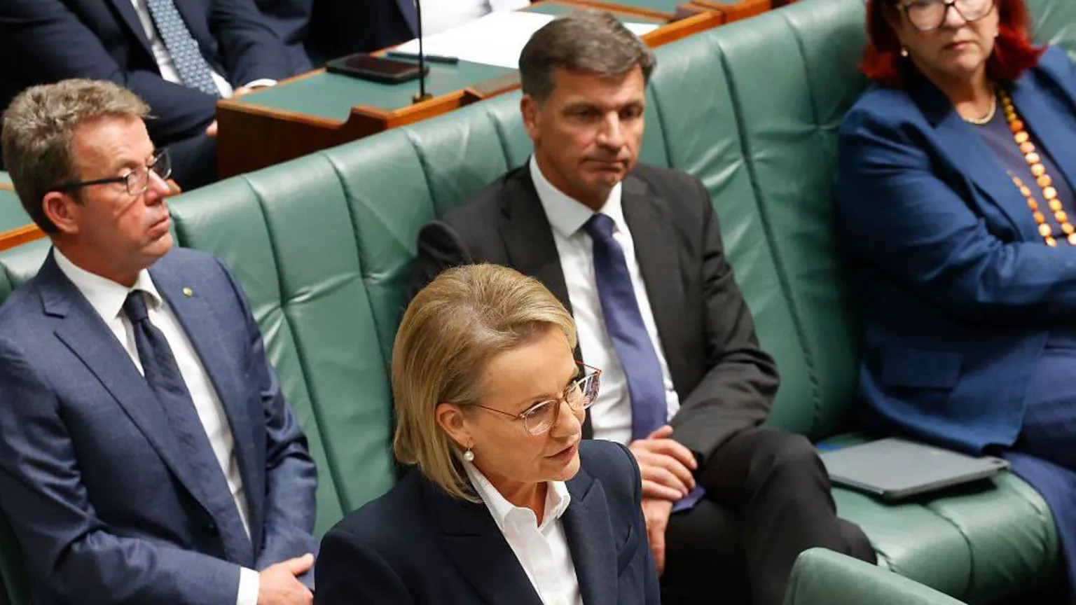 Australian Liberal leader Sussan Ley faces fresh leadership threat after shadow minister quits