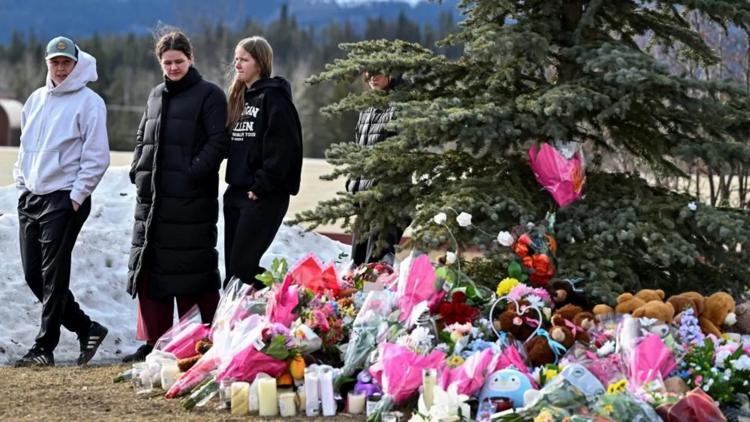 Nine killed in Canada's deadliest mass shooting in small mountain town