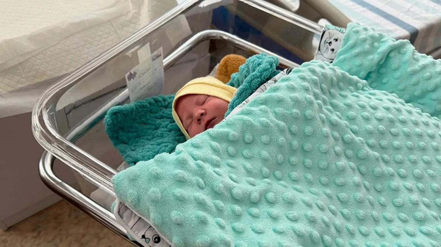 Ukraine launches sperm preservation drive for soldiers amid war losses