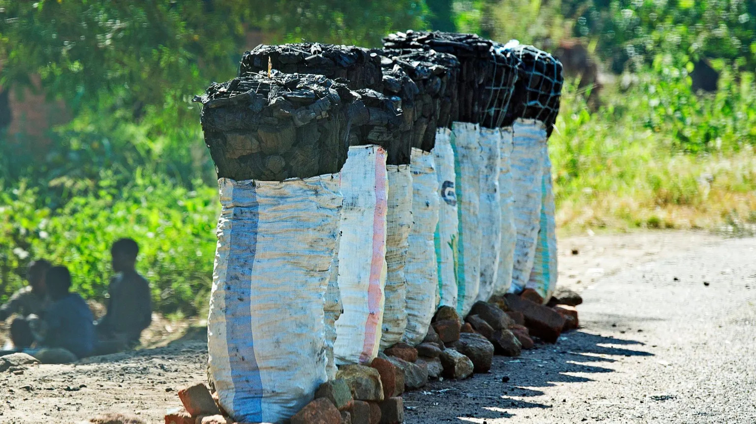 Nine escape custody in Malawi after charcoal smuggling bust involving hearse