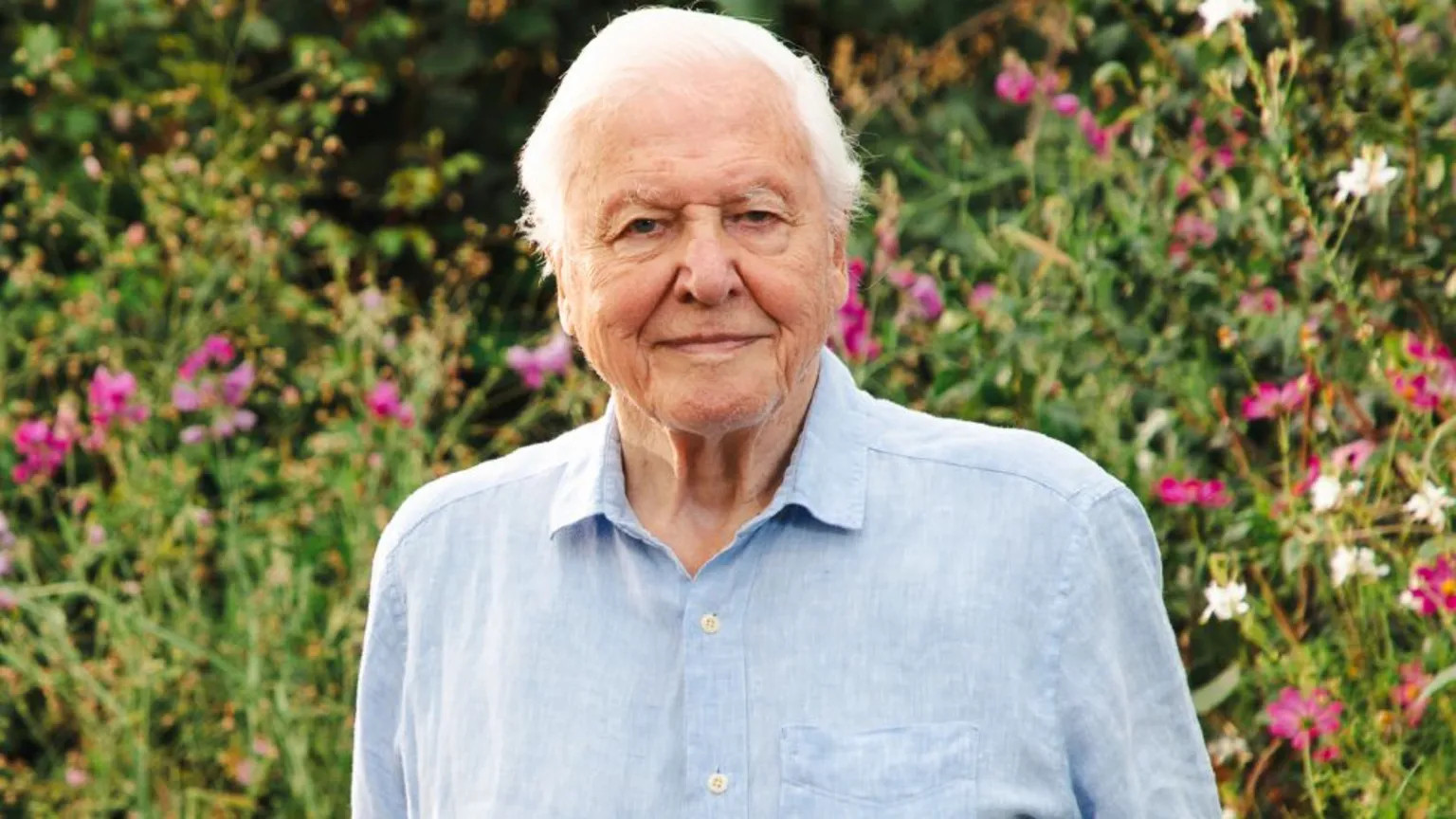 BBC to celebrate David Attenborough's 100th birthday with special programmes