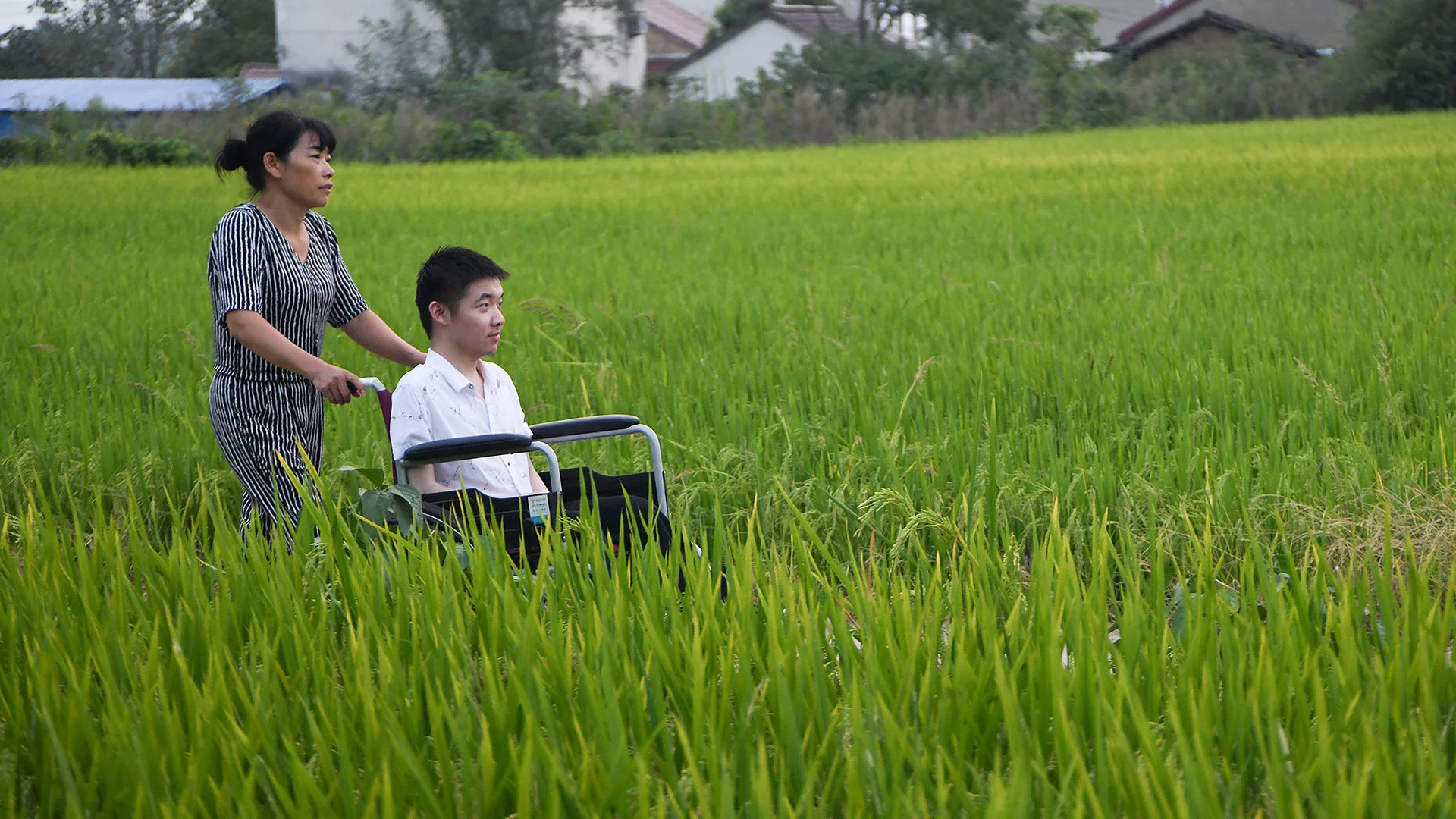 ALS research advances as high-profile deaths highlight disease's toll