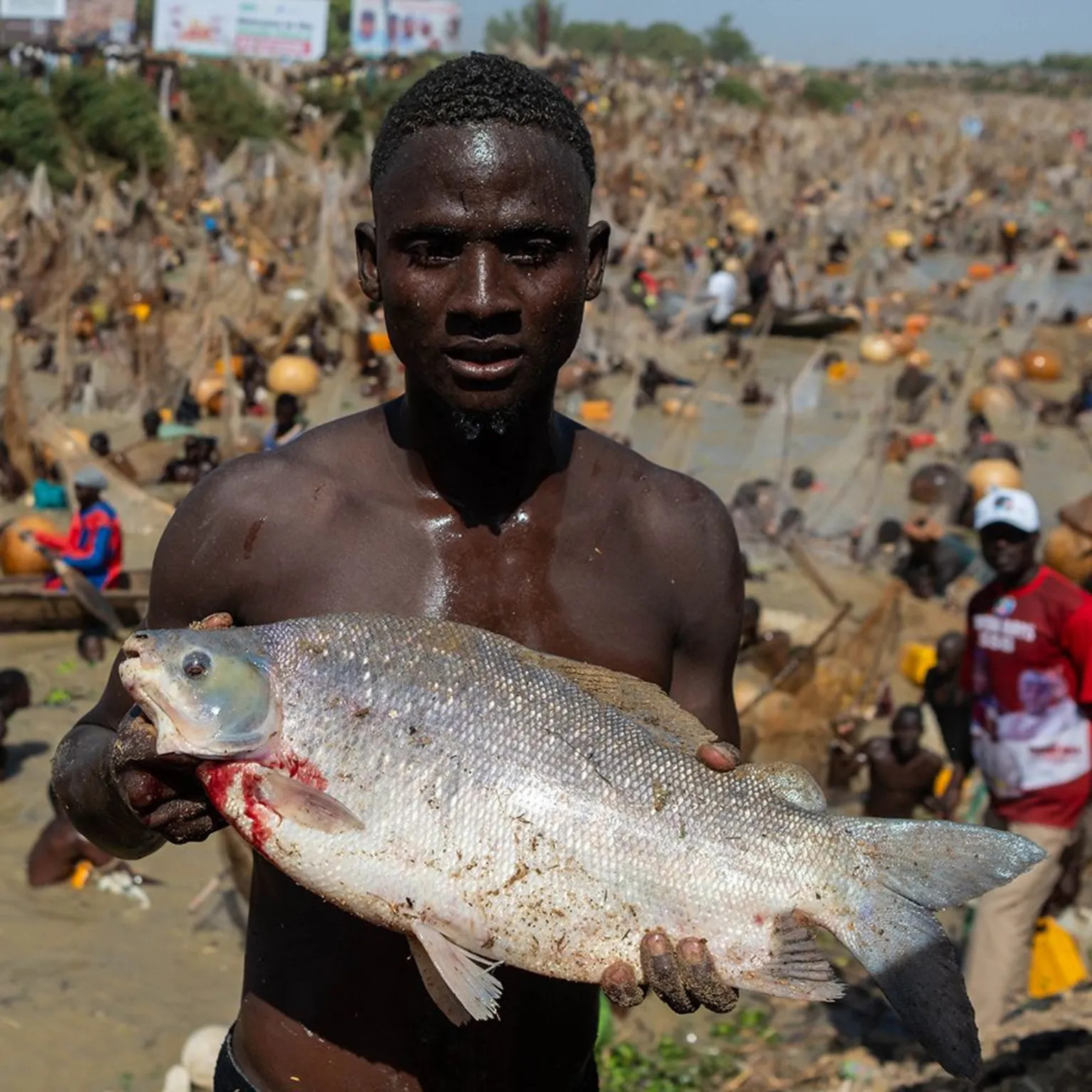 Nigeria revives historic Argungu fishing festival after six-year hiatus