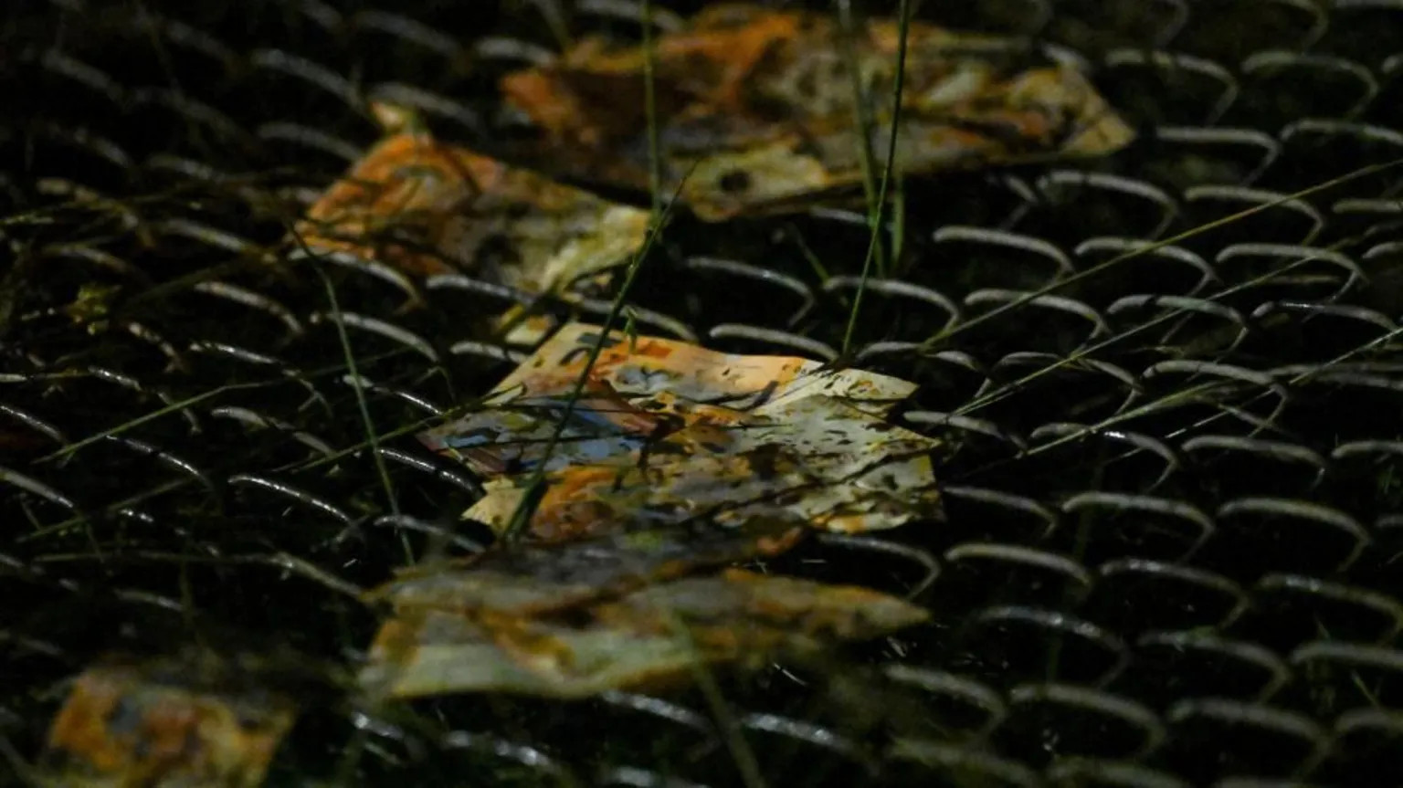 Bolivian military plane crash kills 15 after skidding off runway in El Alto