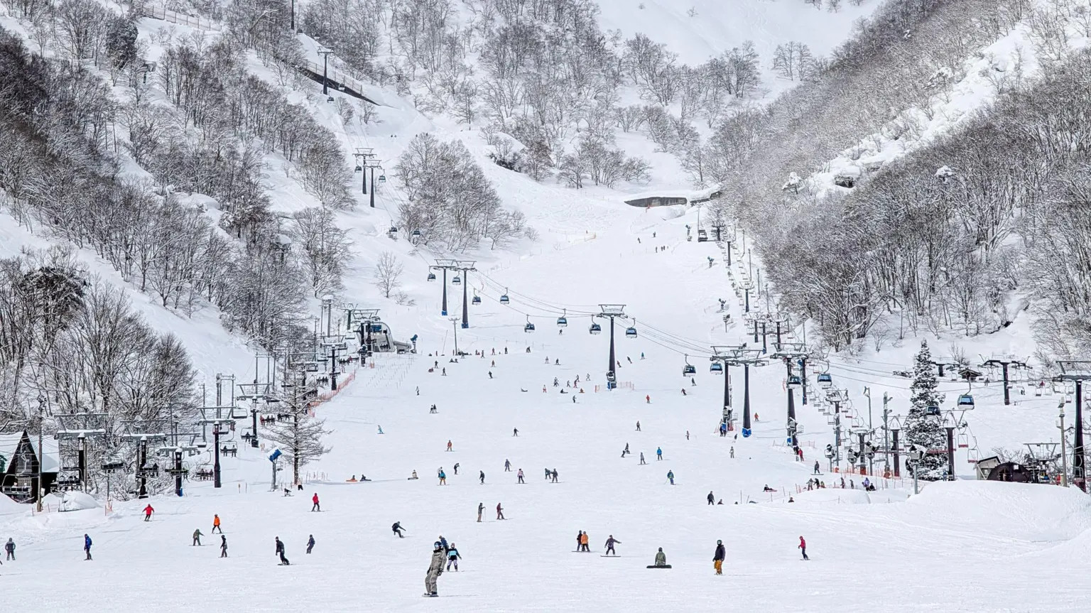 Queensland girl dies in snowmobile accident at Japanese ski resort