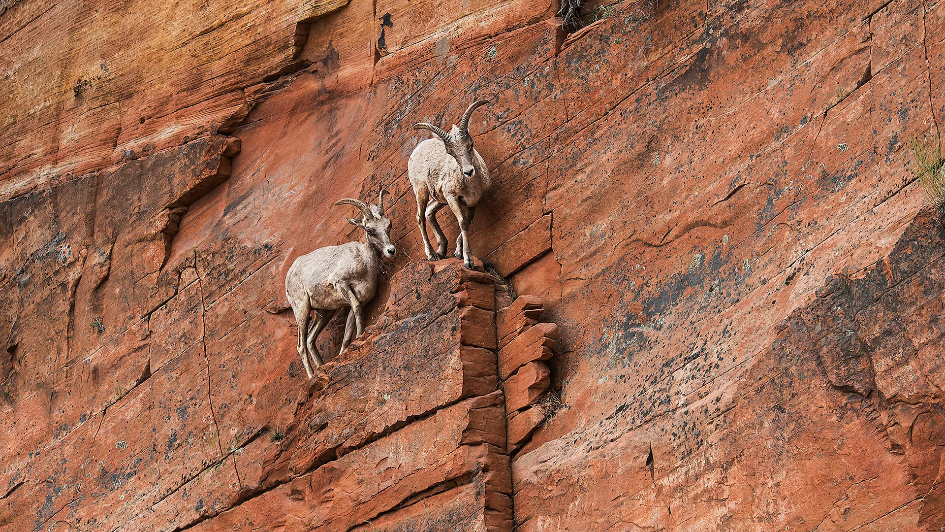 Science-backed strategies to build resilience and manage anxiety