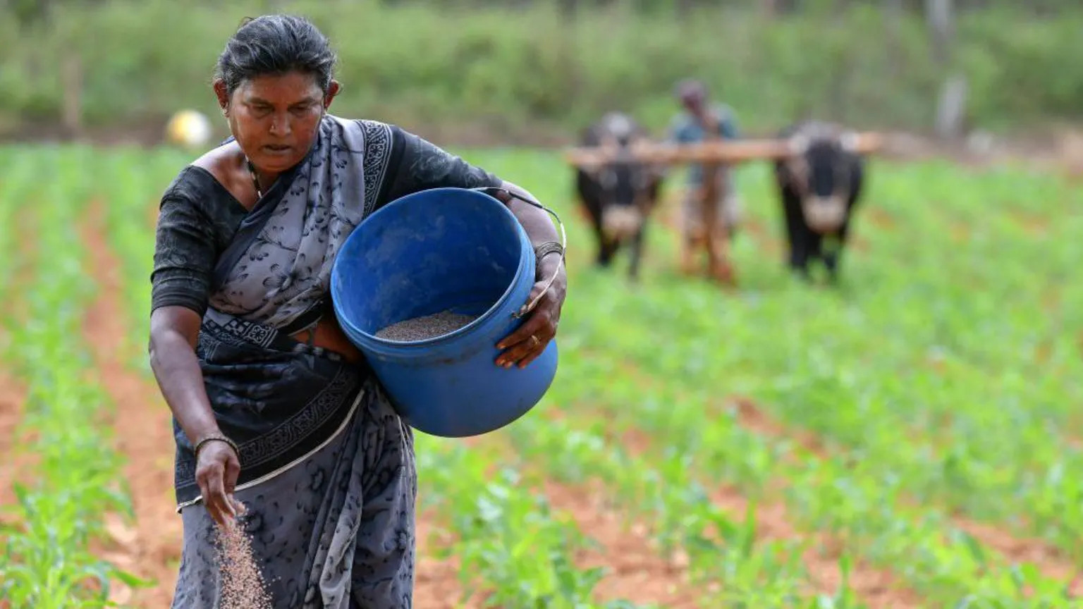 India faces fertiliser supply risks amid Middle East shipping disruptions