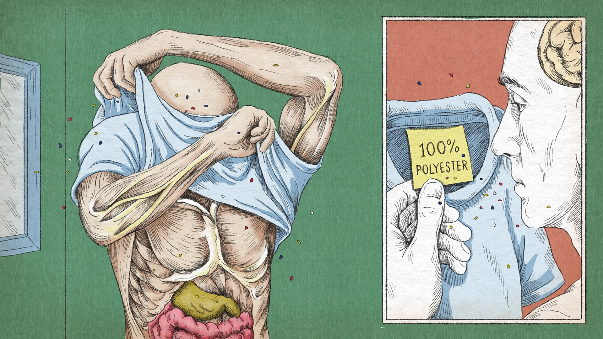 Microplastics in household air pose hidden health risks, study finds