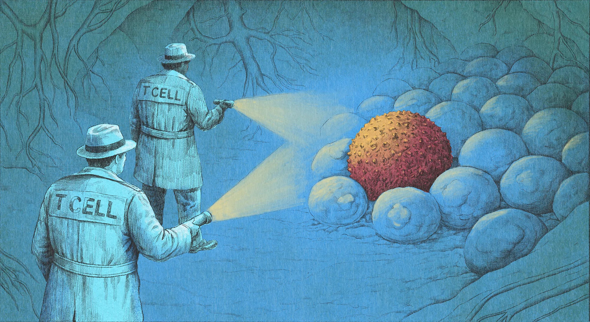 Immunotherapy revolutionizes cancer treatment after century of research