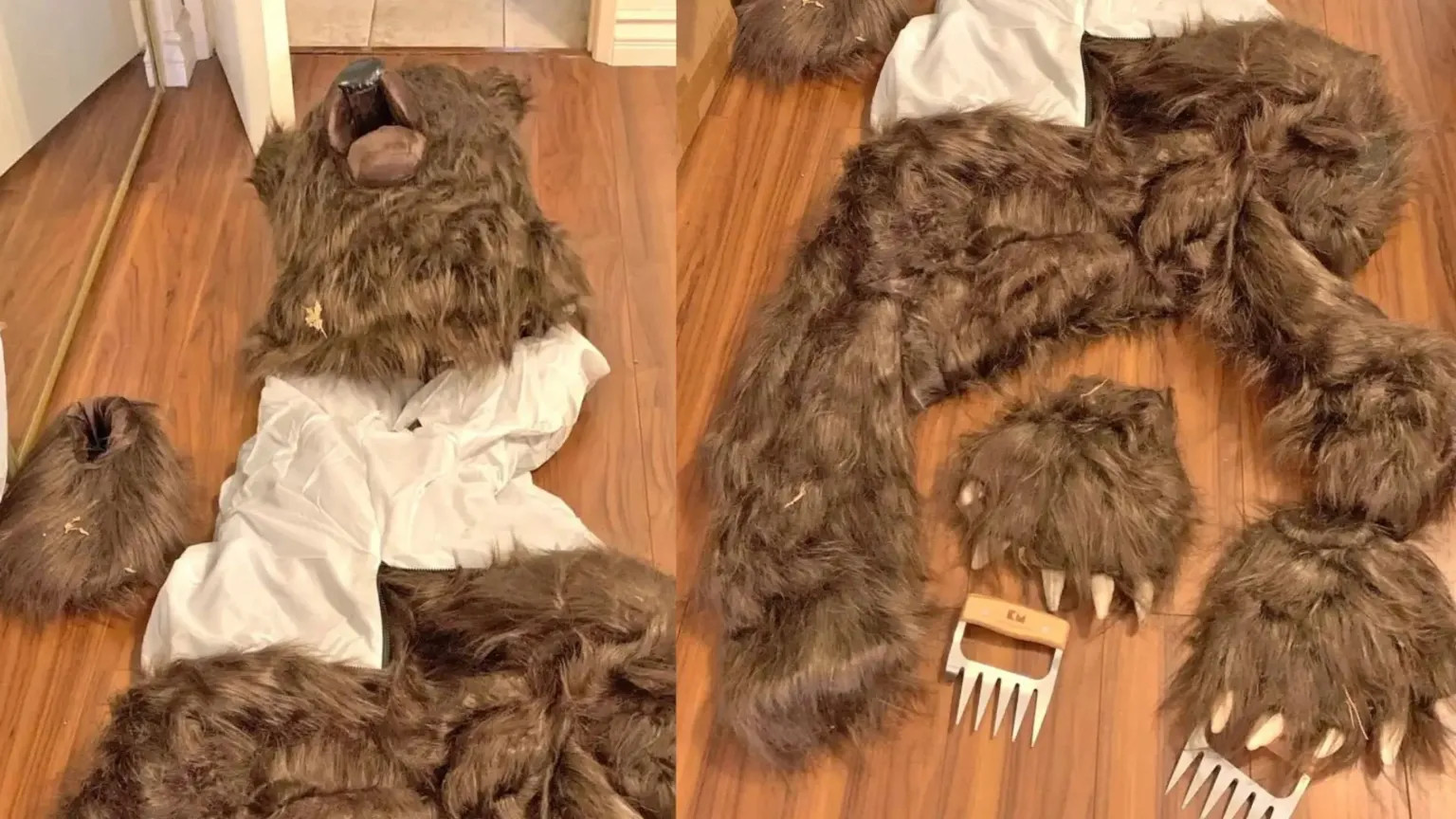 Three jailed in California for $142,000 bear costume insurance fraud