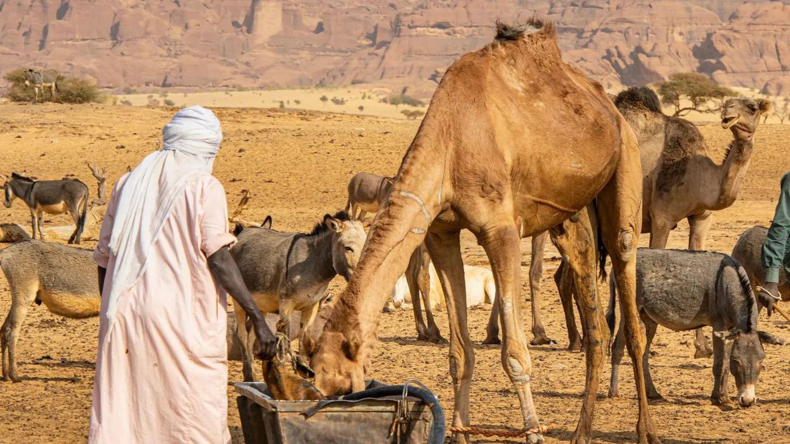 Deadly ethnic clashes in eastern Chad leave 42 dead over water dispute
