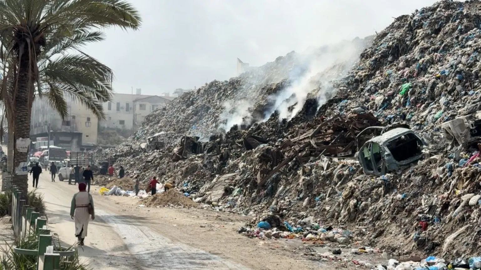 Gaza's displaced face escalating health crisis from rodent infestations