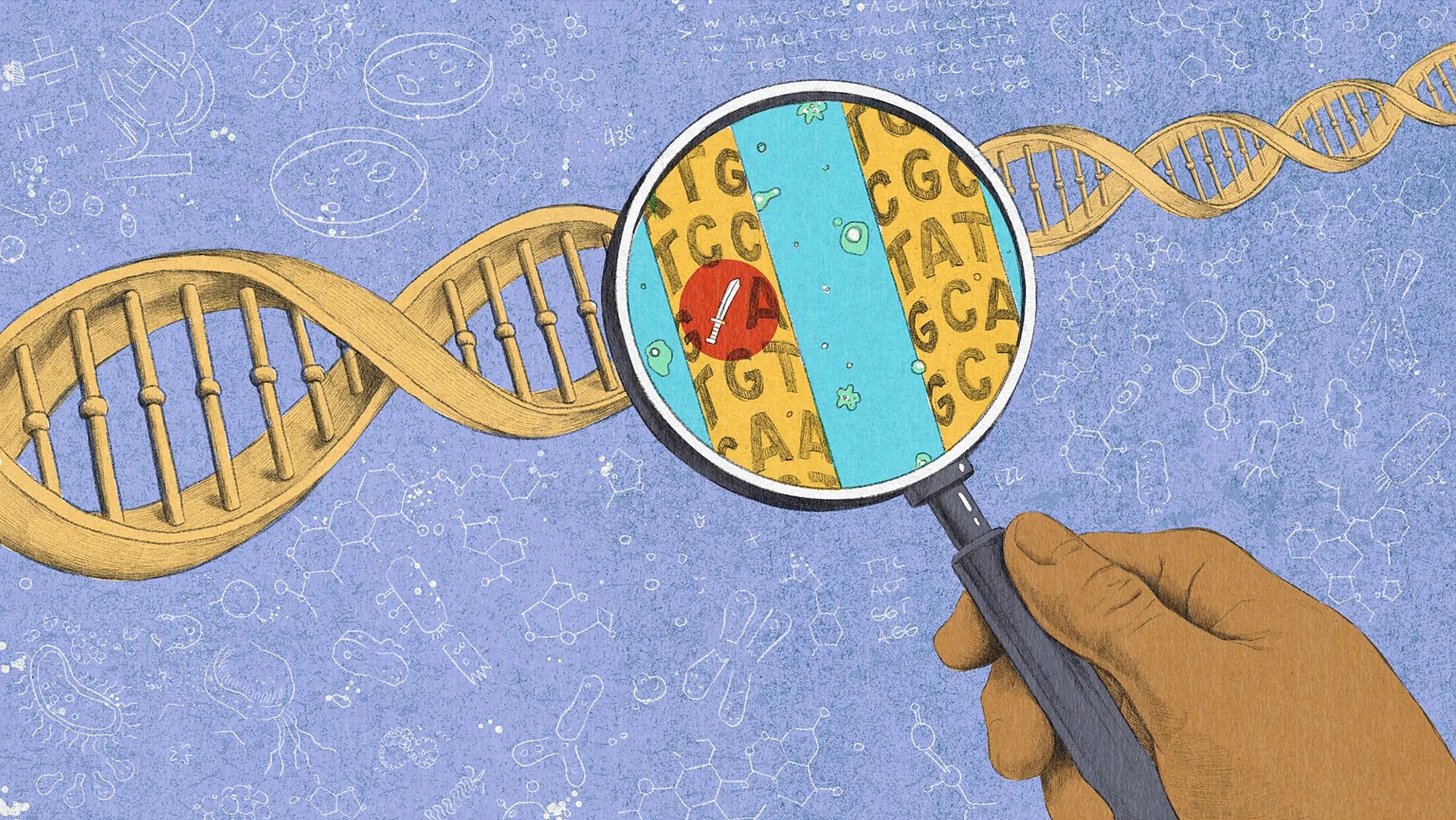 Genetics and personality: The complex interplay beyond the 'warrior gene'