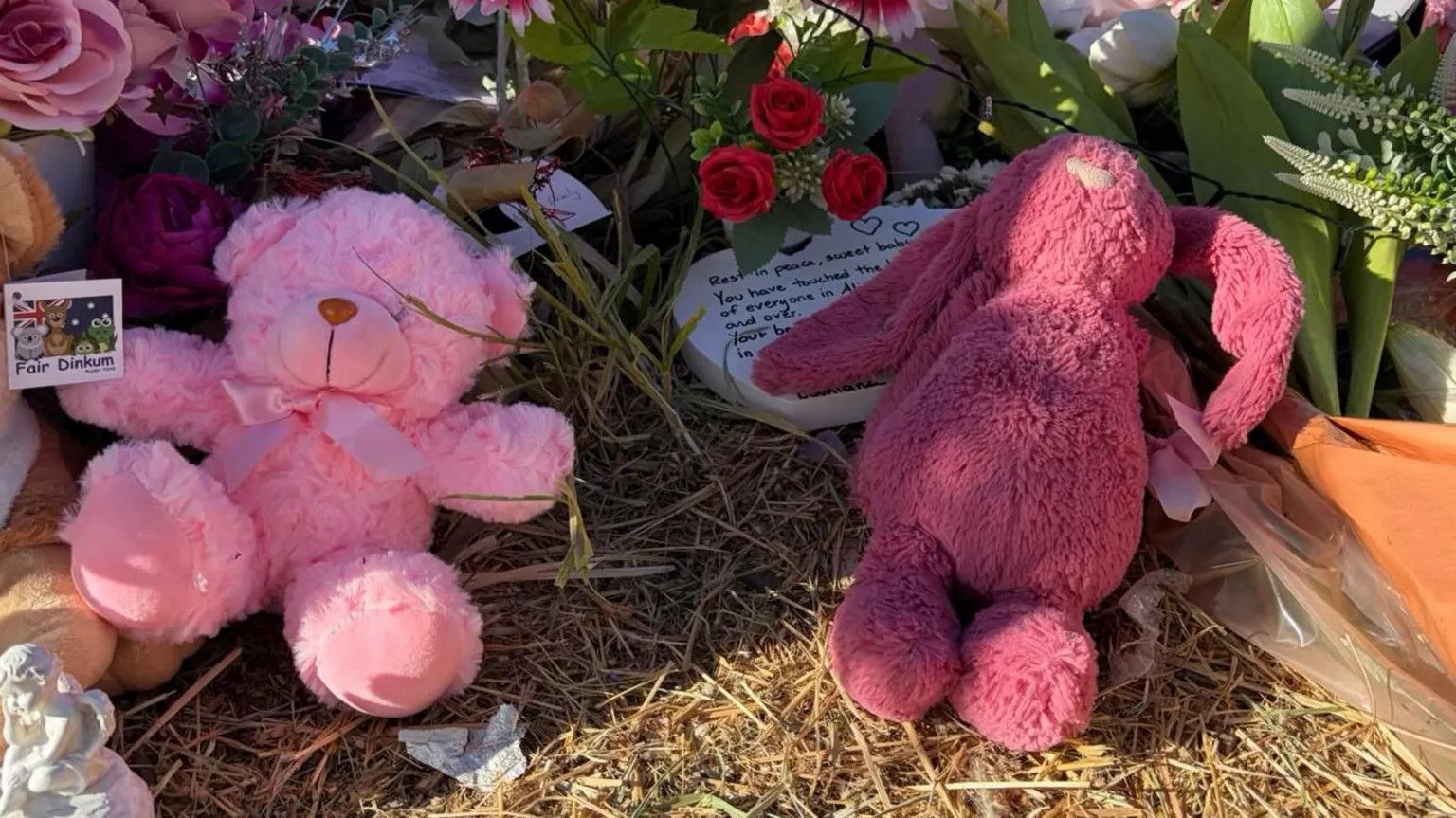 NT suspends three child protection workers after girl's murder