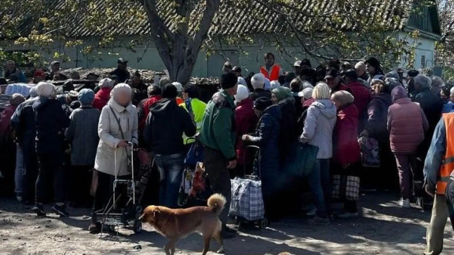 Oleshky residents trapped in mine-riddled Ukrainian city face humanitarian crisis
