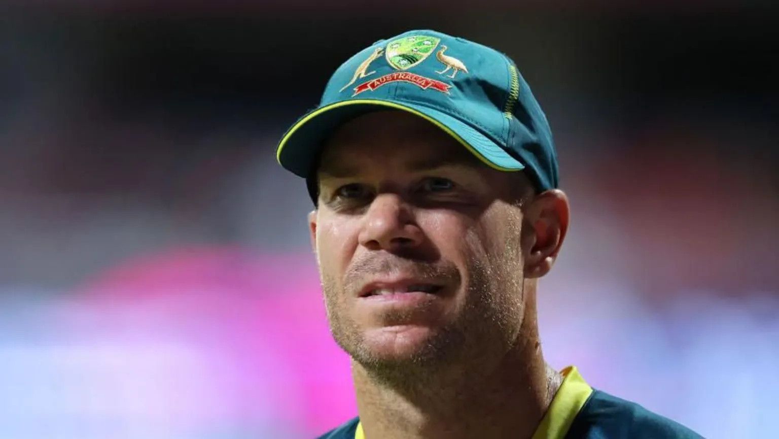 David Warner to plead guilty to drink-driving charge in Sydney