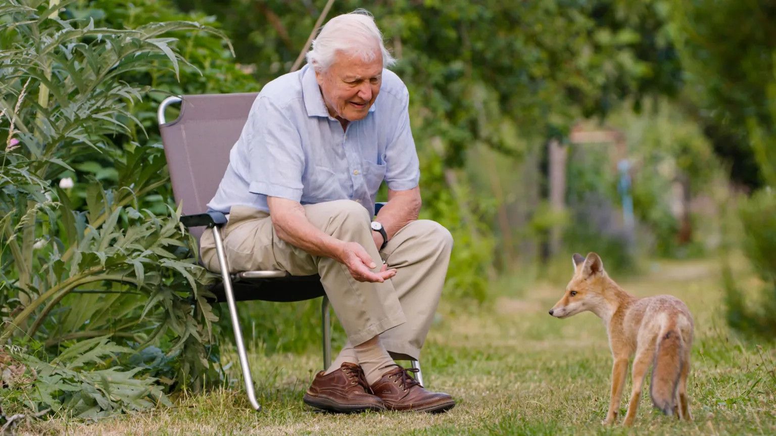 London landmark lights up for David Attenborough's 100th birthday