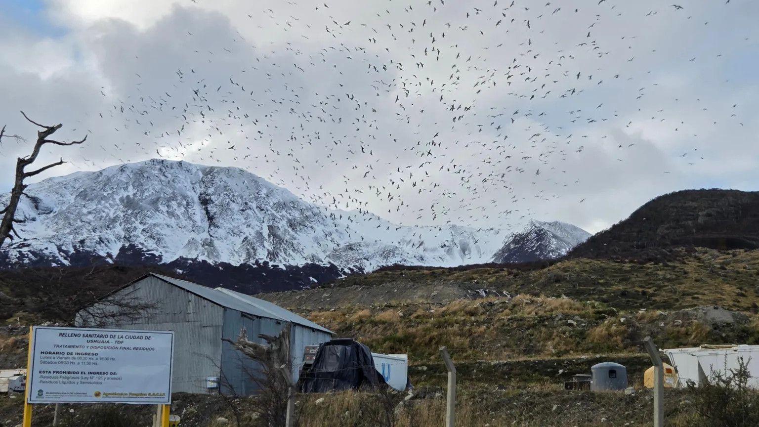 Hantavirus outbreak on Dutch cruise ship sparks scrutiny of Argentina's Ushuaia