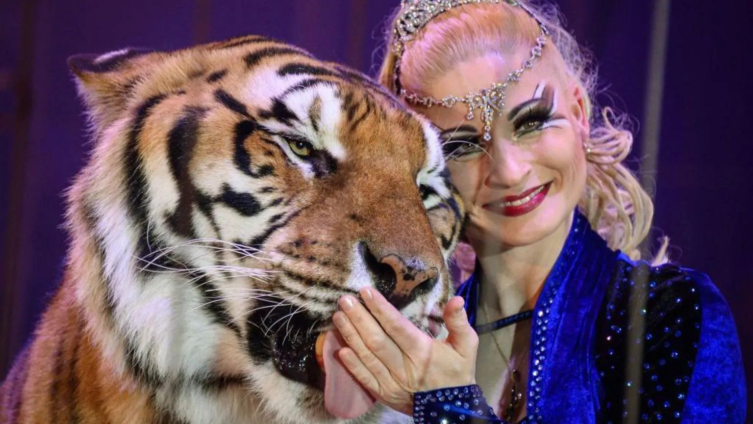 Police shoot escaped tiger after attack on keeper in Germany
