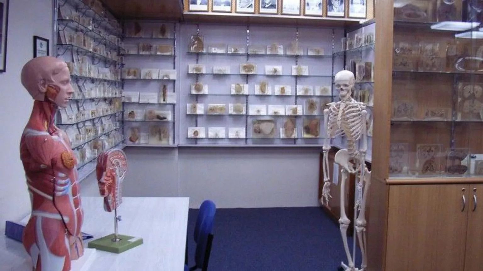 Tasmania apologises for unauthorised retention of autopsy body parts