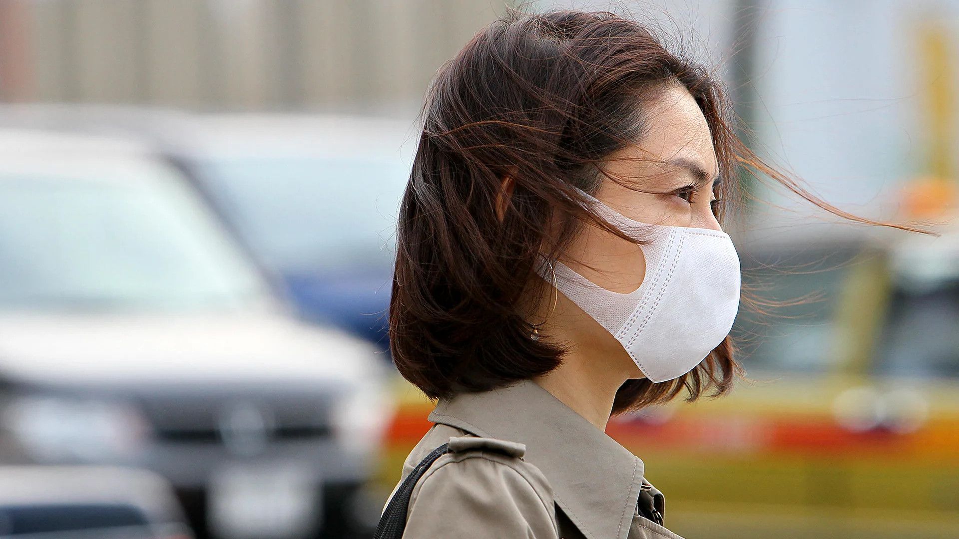 Japan's 70-year-old forest policy fuels national allergy crisis