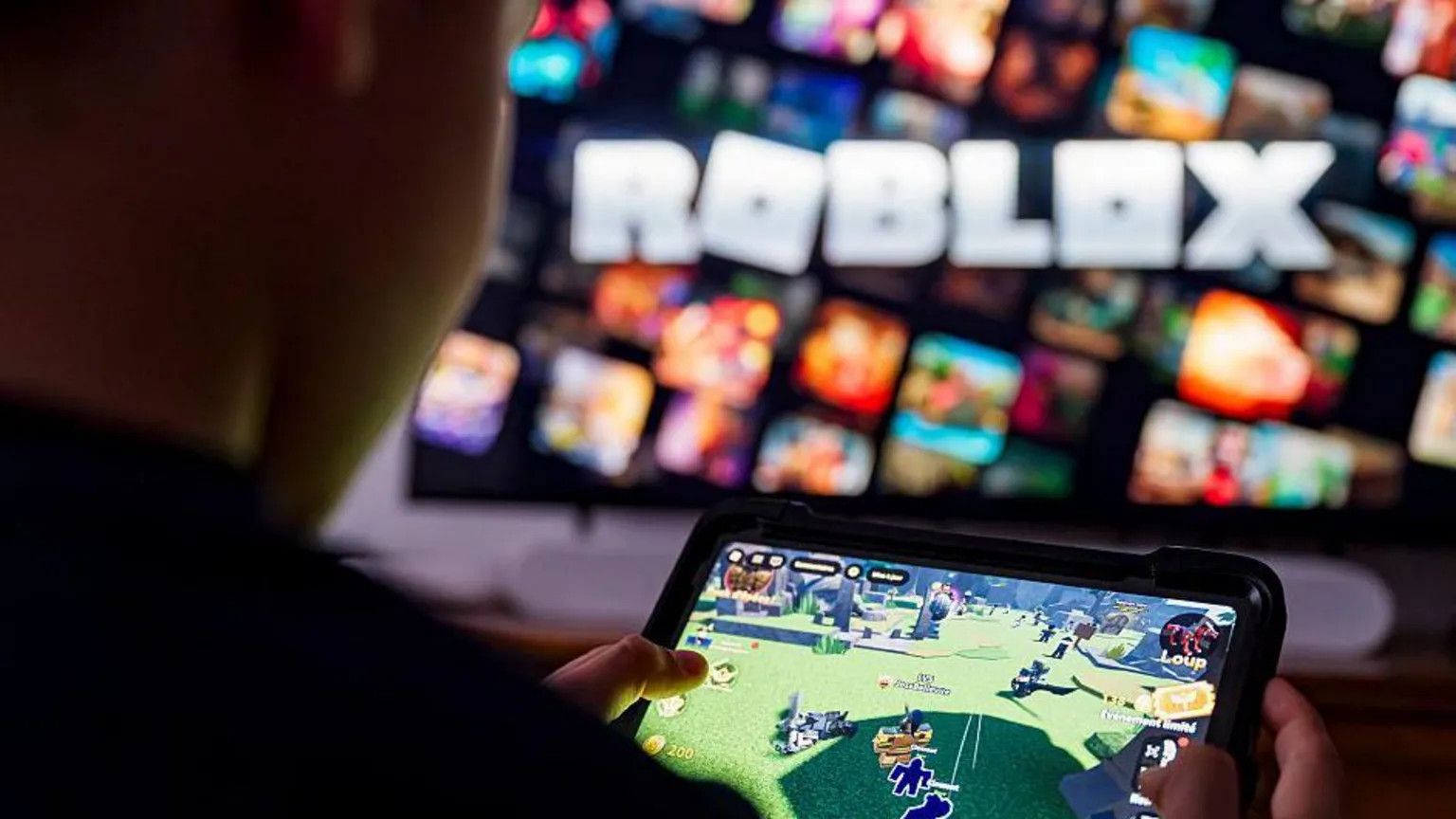 US regulators urged to probe Roblox over child safety concerns