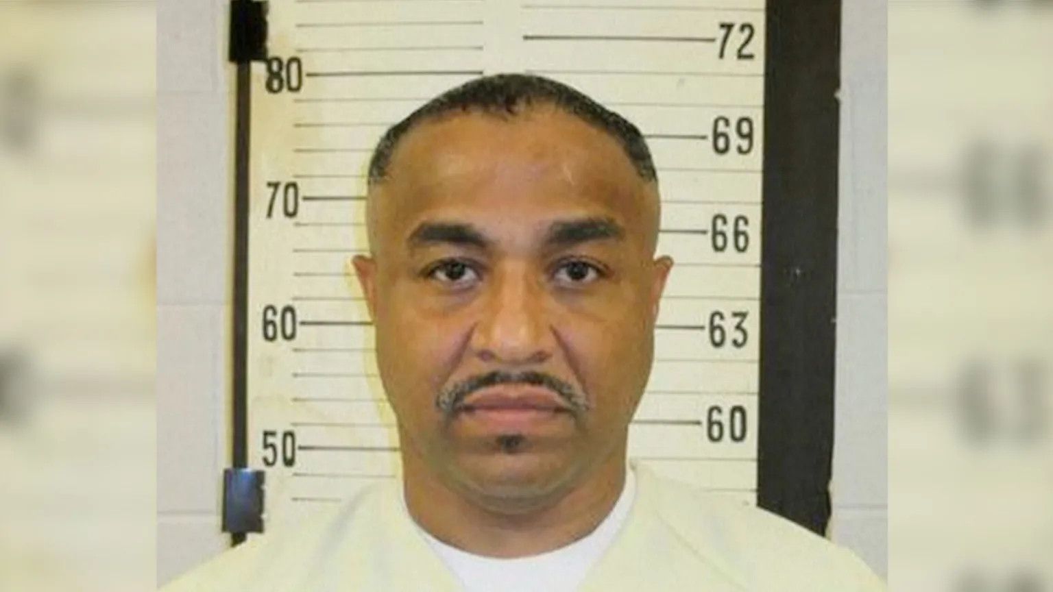 Tennessee halts execution after medical team fails to find second vein