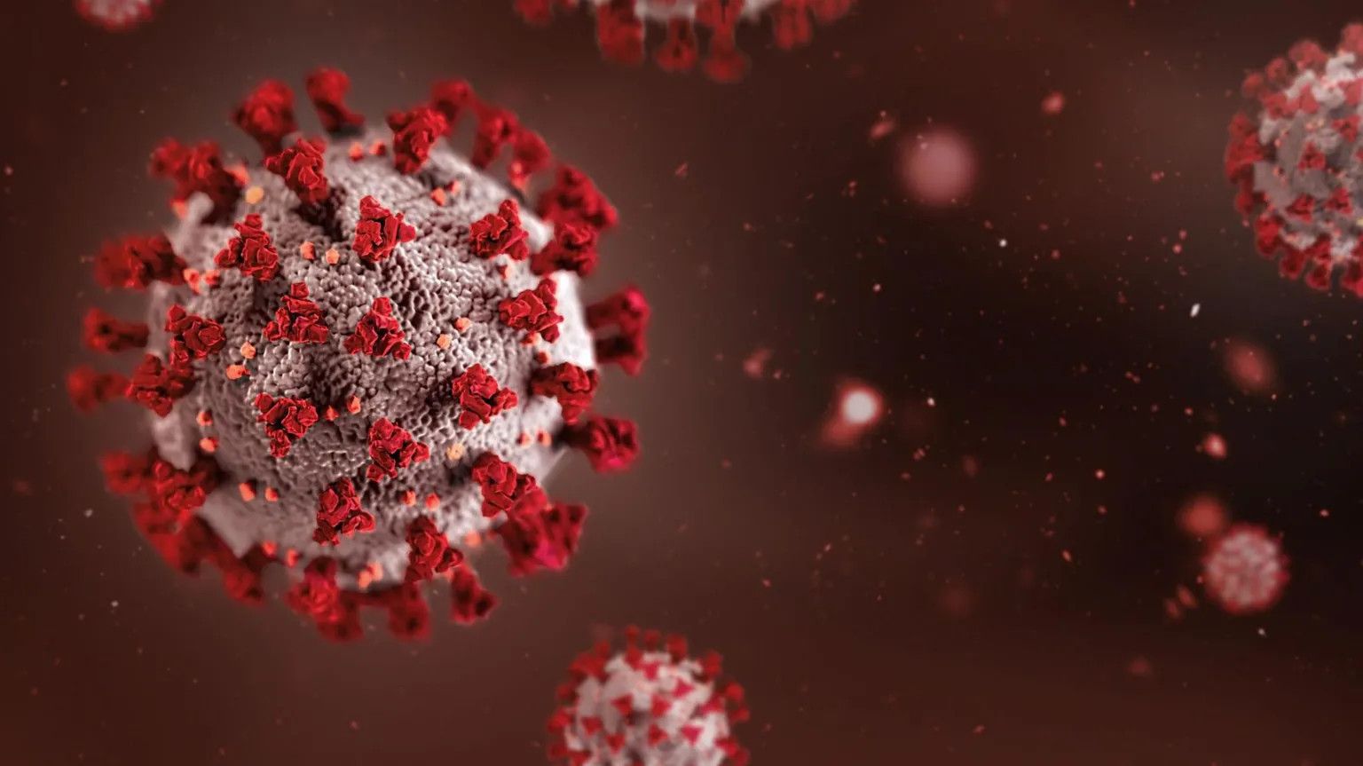 India-Africa Forum Summit postponed amid Ebola outbreak concerns