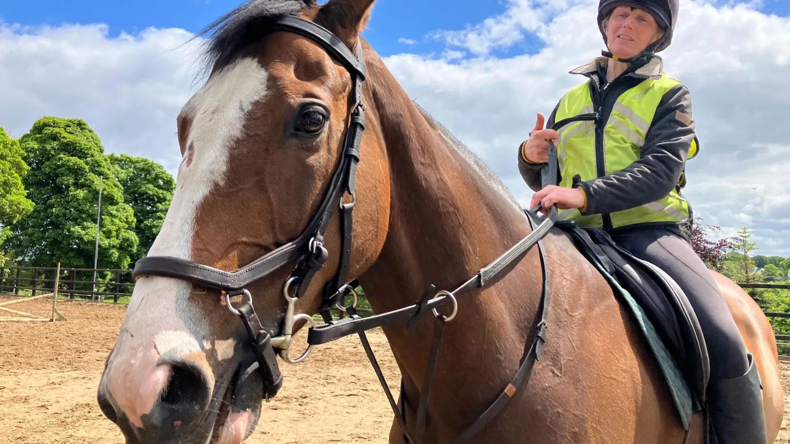 From race tracks to beer: Sir Alex Ferguson's champion horse retires in Donegal