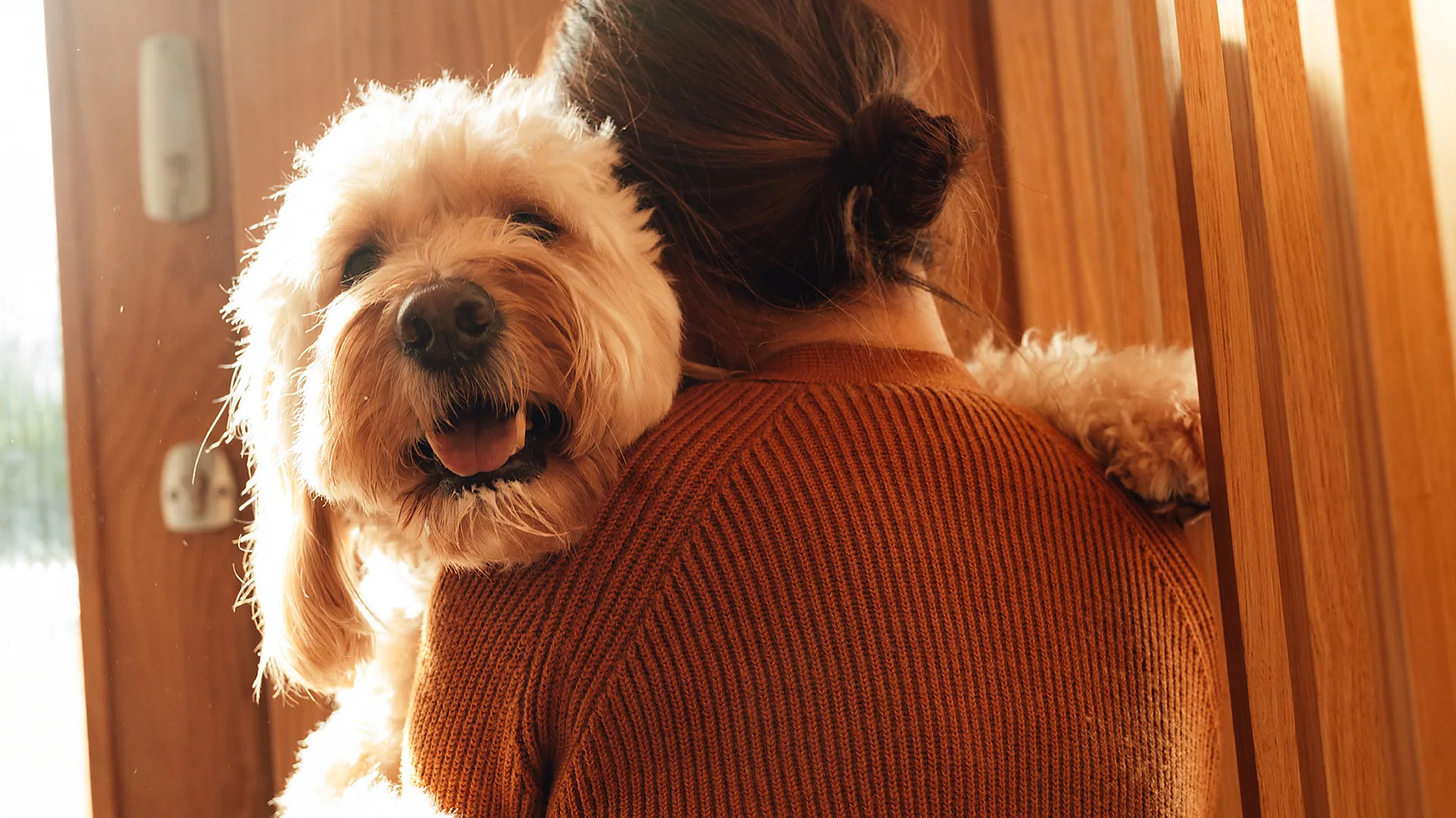Pets suffer from pollen allergies too, but diagnosis remains complex