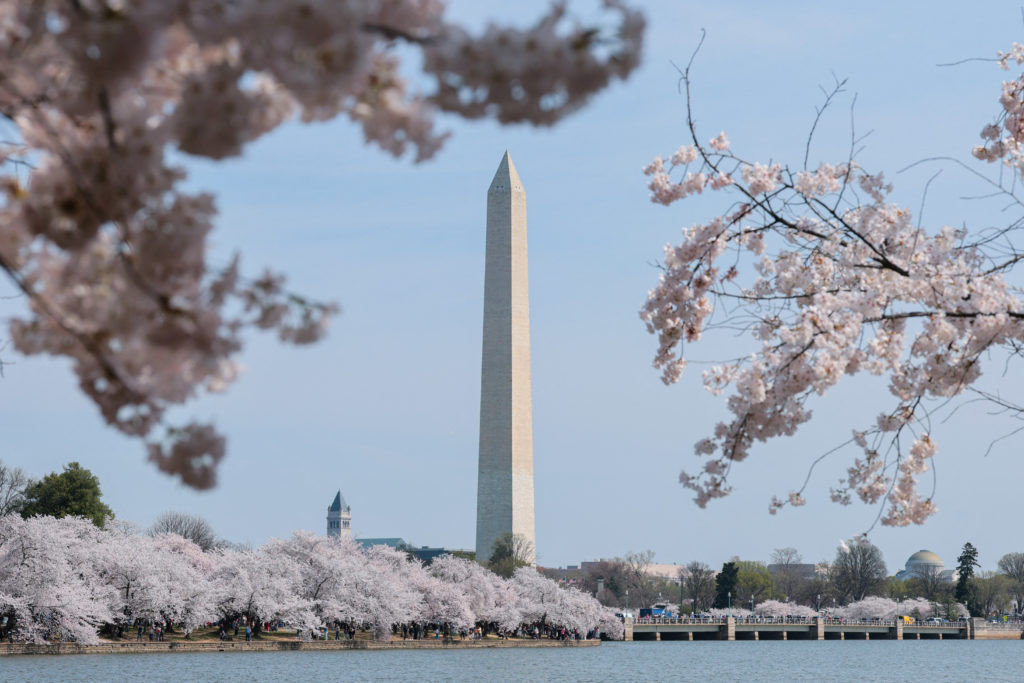 US prepares for 250th birthday with fireworks, UFC fight and political debates
