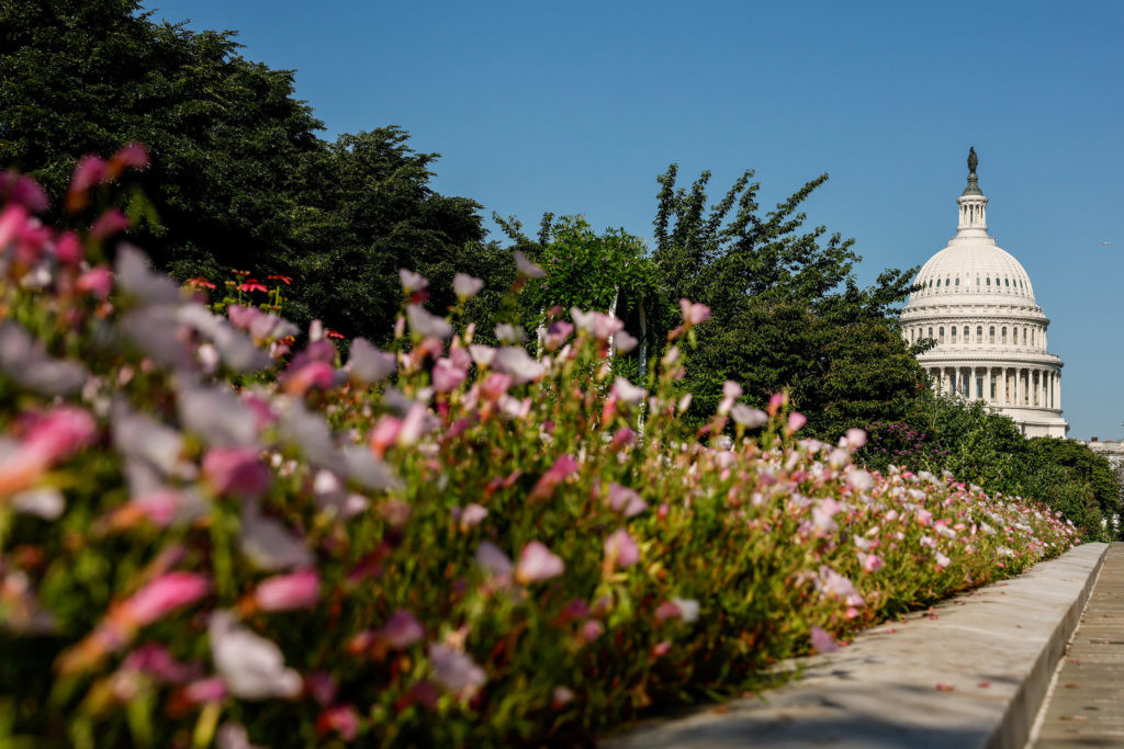 Global events recap: US House votes on Iran, KSI exits Sidemen, Bezos rocket fails